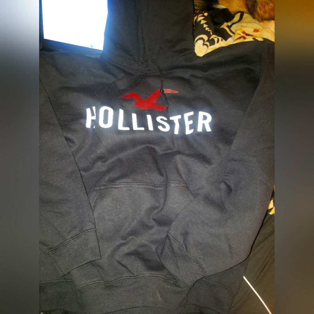 Hollister hoodie NWT LARGE